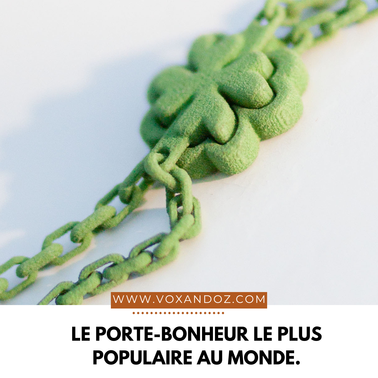 Trèfle à quatre feuilles : signification, origine et symbole du porte-bonheur le plus célèbre