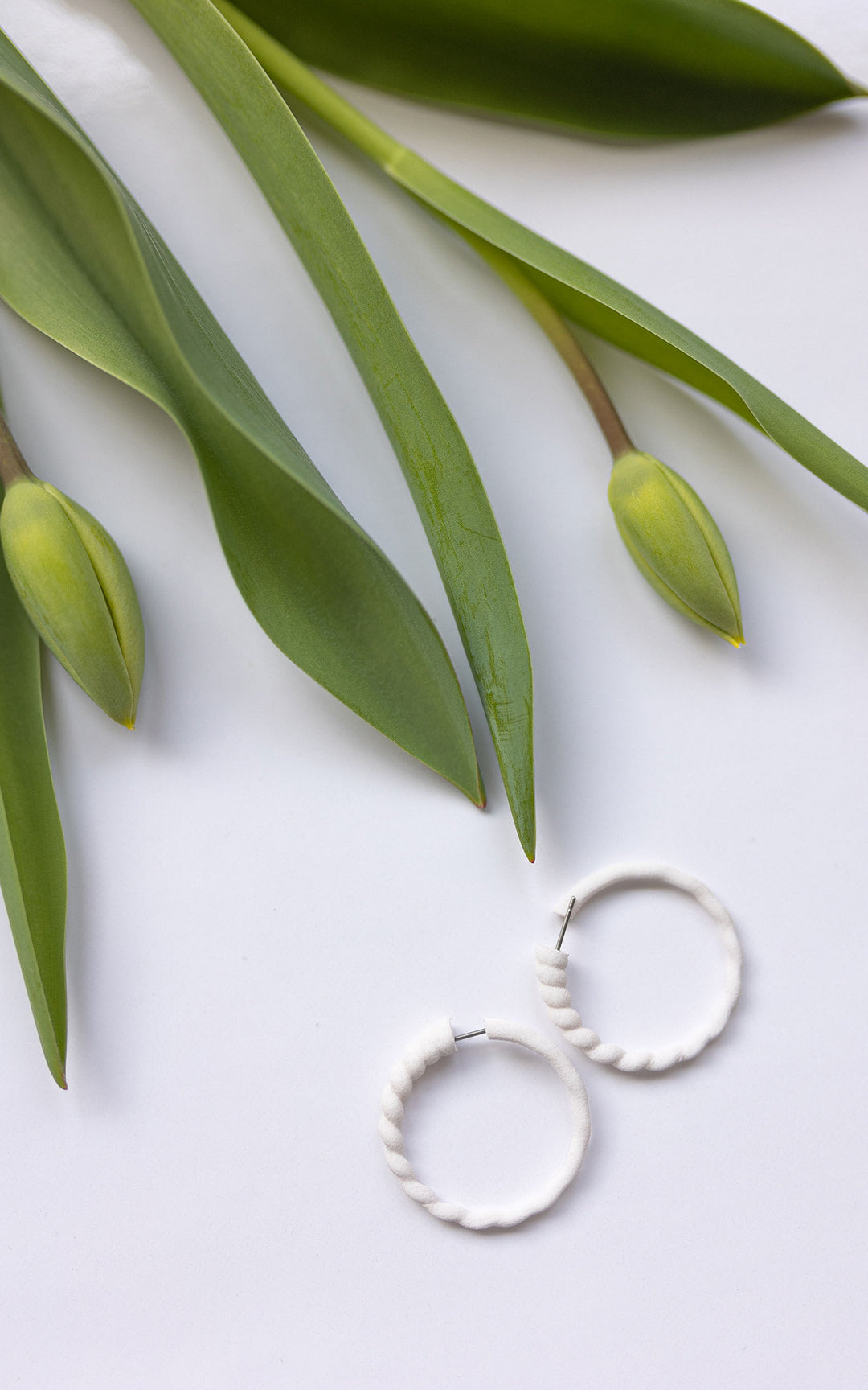 Small Crescent Rings Scoquillage